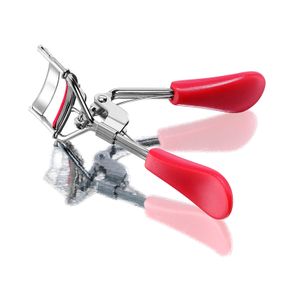 curvex-quem-disse-berenice_1_800165