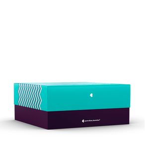 Caixa-de-presente-Zig-Zag_G